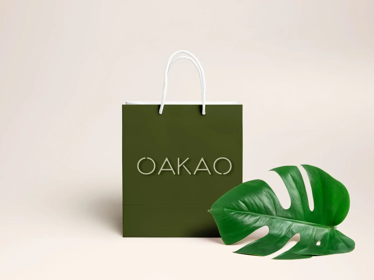 Shopping Bag PSD MockUp 2 copy(1)