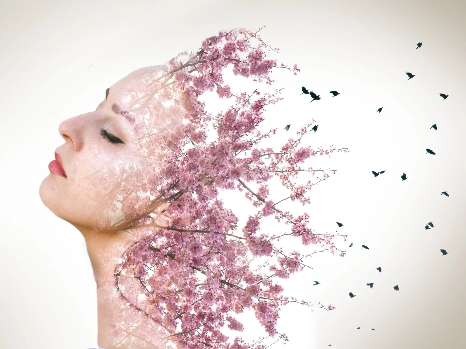 cherry blossom double exposure